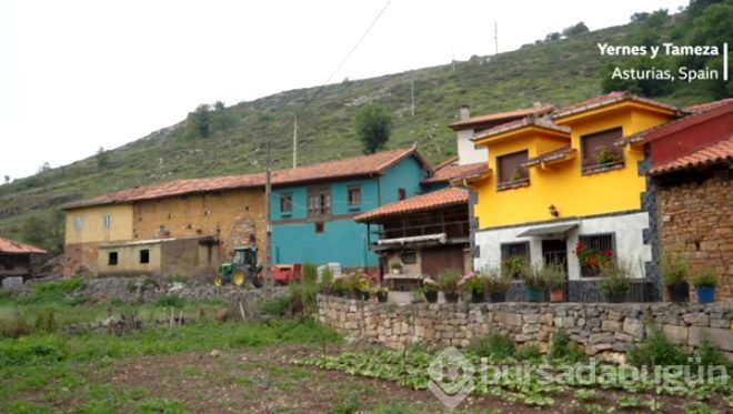 Bu köyde çocuktan fazla kurt var!