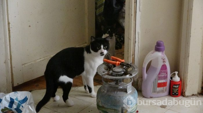Kötü koku mahalleyi sarınca ortaya çıktı!