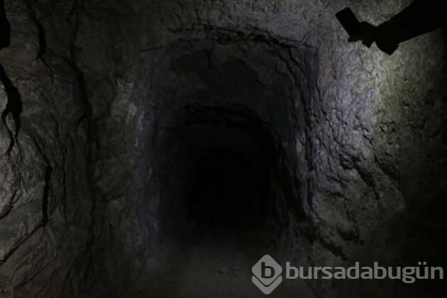 Örümcek ağı gibi! 