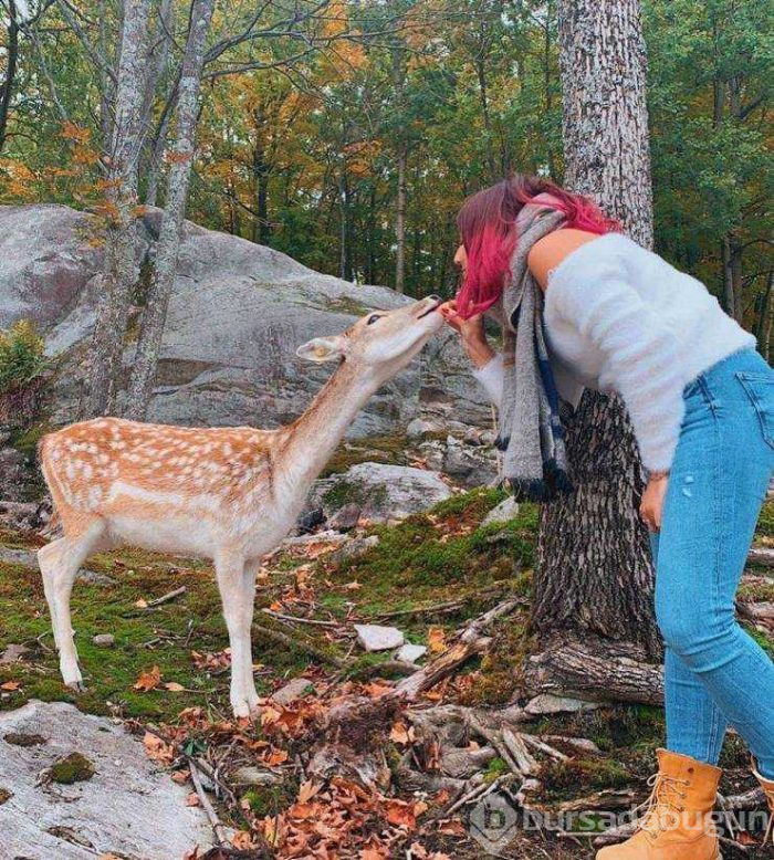 Günün en çok paylaşılanları