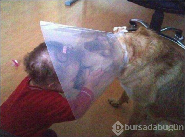 Günün en çok paylaşılanları