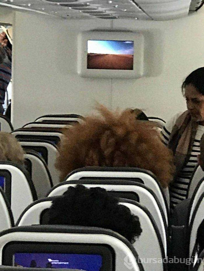 Günün en çok paylaşılanları