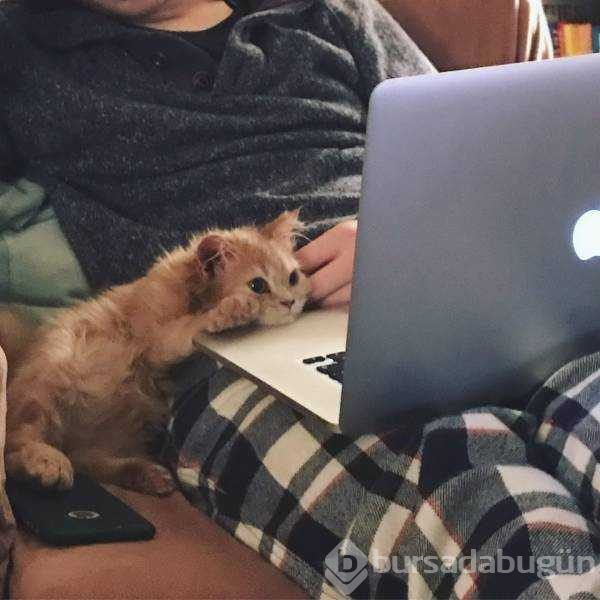 Günün en çok paylaşılanları
