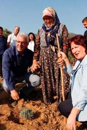 Alternatif ürün lavanta