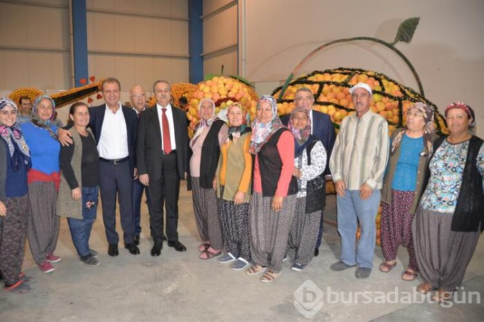 Süslemeler için 30 ton ürün kullanıldı! 