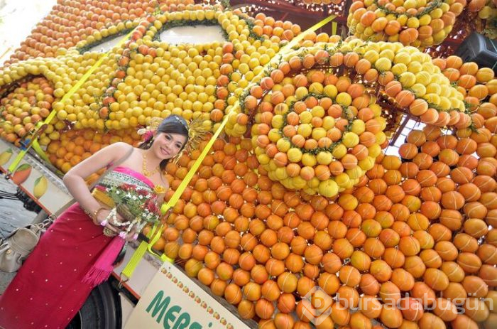 Süslemeler için 30 ton ürün kullanıldı! 