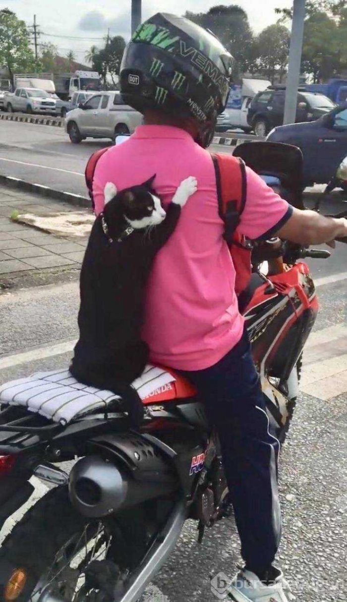 Günün en çok paylaşılan fotoğrafları
