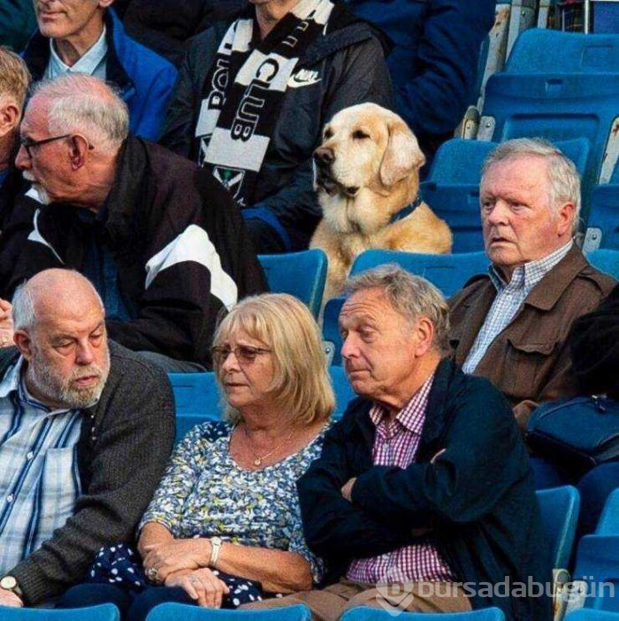 Günün en çok paylaşılan fotoğrafları
