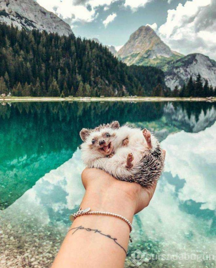 Günün en çok paylaşılan fotoğrafları
