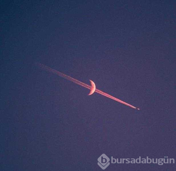 Günün en çok paylaşılan fotoğrafları
