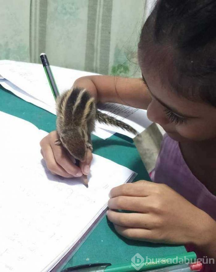 Günün en çok paylaşılan fotoğrafları

