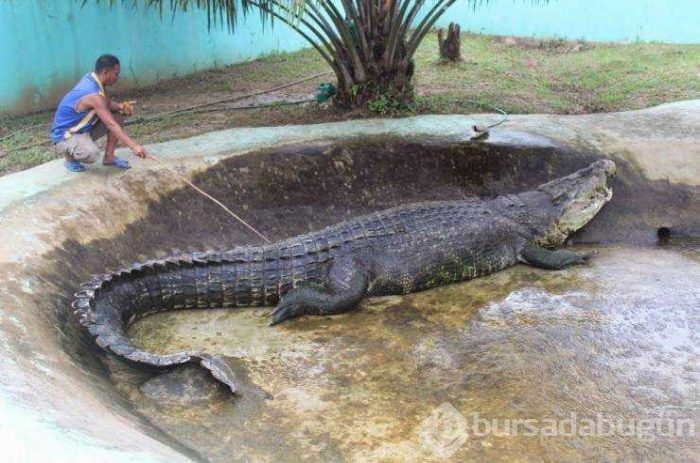 Günün en çok paylaşılan fotoğrafları
