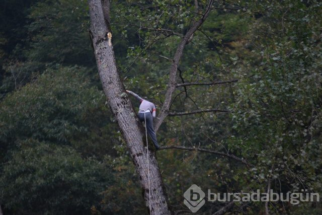 Tarzan gibi tırmanıyor!