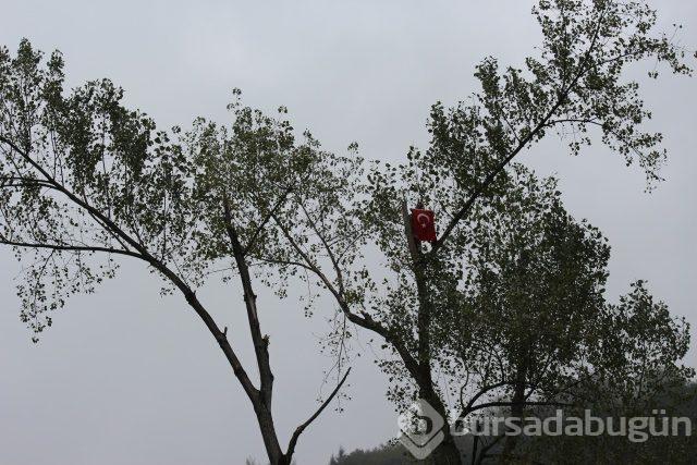 Tarzan gibi tırmanıyor!