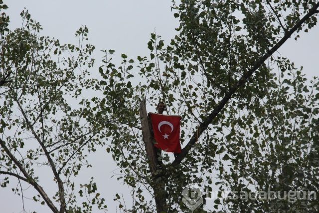 Tarzan gibi tırmanıyor!