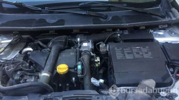 Bursa'da yeni aldığı otomobilin motorundan yılan çıktı