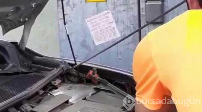Bursa'da yeni aldığı otomobilin motorundan yılan çıktı