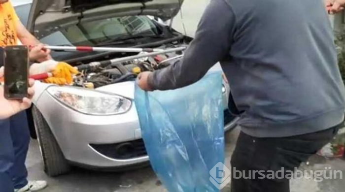 Bursa'da yeni aldığı otomobilin motorundan yılan çıktı