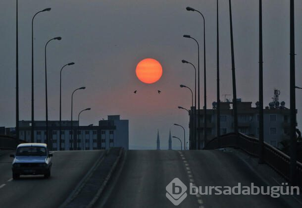 Dünya medyası!