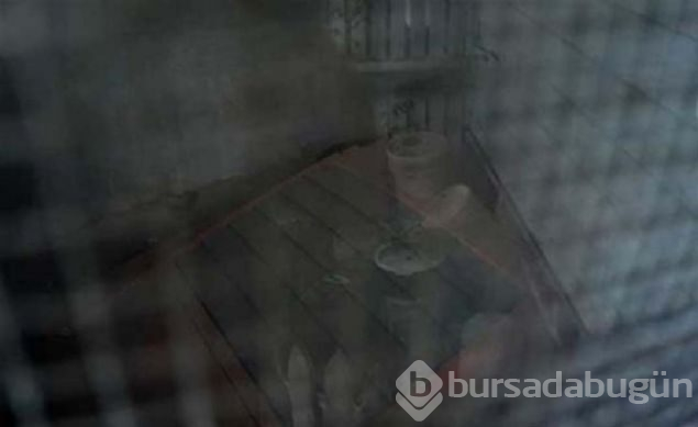 Yeni aldığı evin garajından çıkan şeye inanamadı!