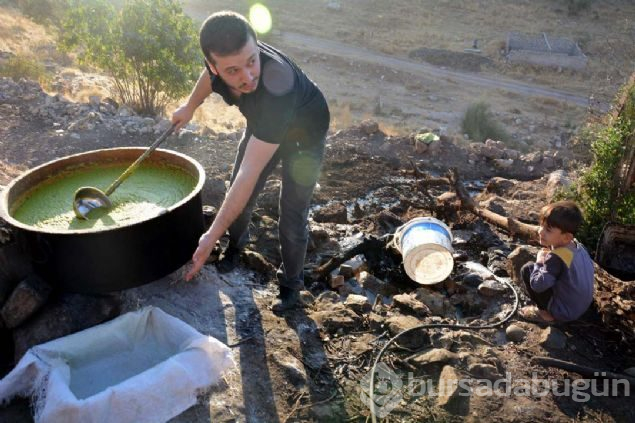 Siirt'te üretiyor! Amerika, İngiltere ve Fransa'ya satıyor
