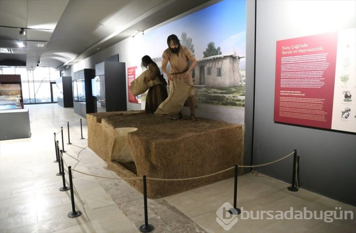Hasankeyf Müzesi ziyarete açıldı