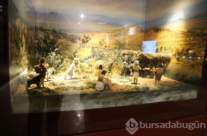 Hasankeyf Müzesi ziyarete açıldı