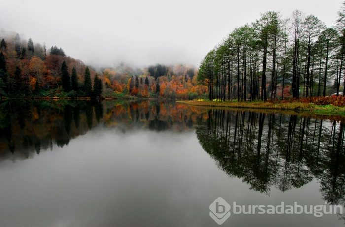 Artvin'in doğa harikaları