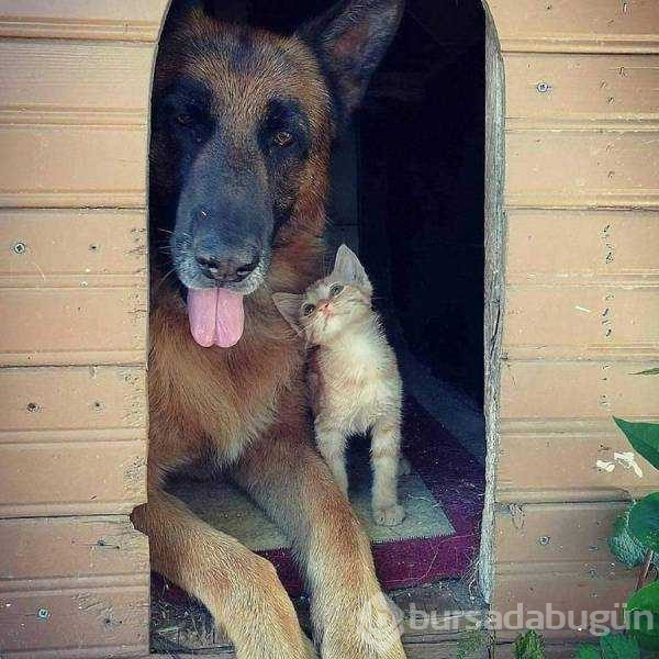 Günün en çok paylaşılanları