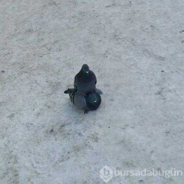 Günün en çok paylaşılanları