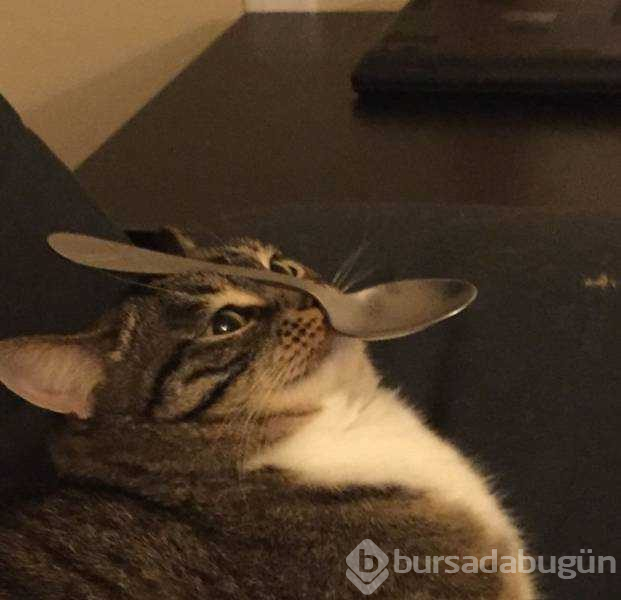Günün en çok paylaşılanları