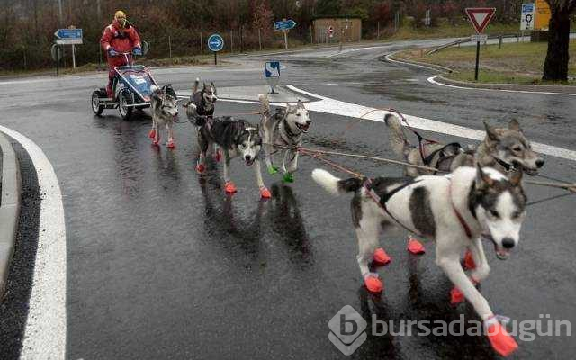 Günün en çok paylaşılanları