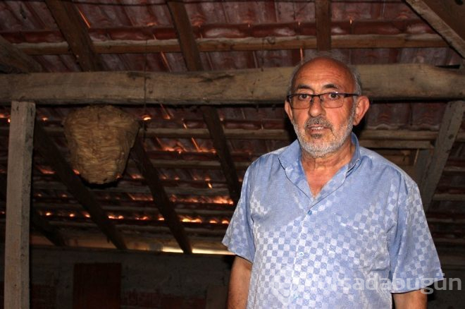 Evinin çatısında buldu!