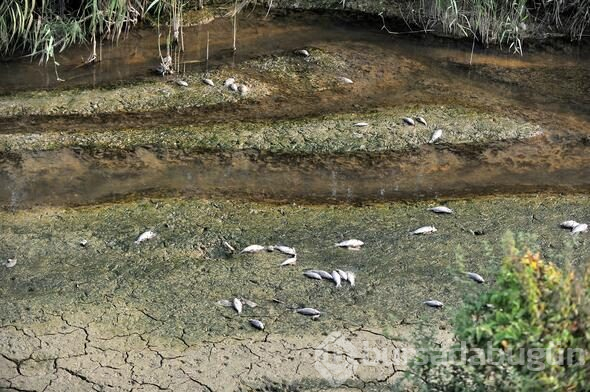Bursa'daki korkutan görüntü ile ilgili valilikten açıklama geldi