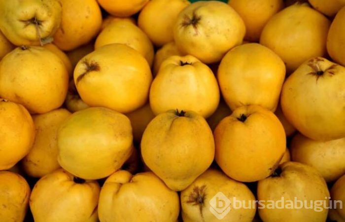 Ayvanın faydalarını biliyor musunuz?