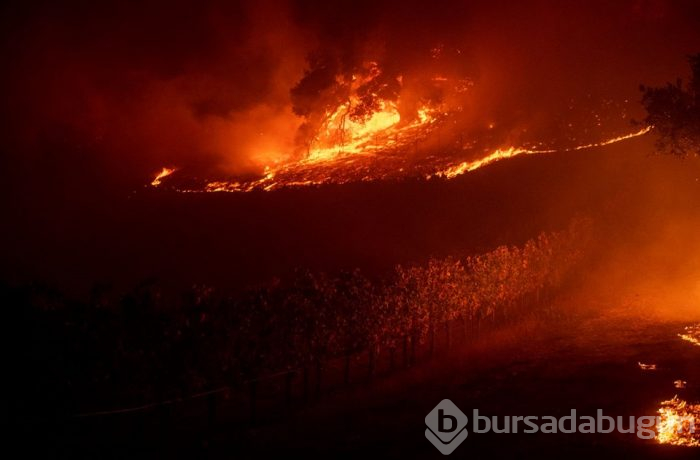 California'da yayılan yangınlar nedeniyle binlerce kişi tahliye edildi!