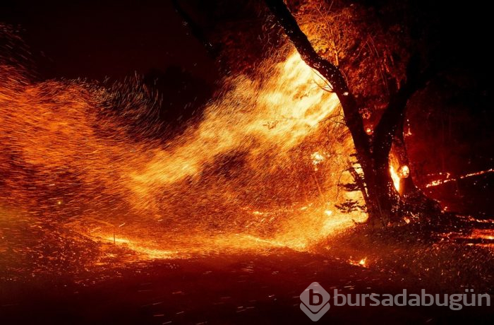 California'da yayılan yangınlar nedeniyle binlerce kişi tahliye edildi!