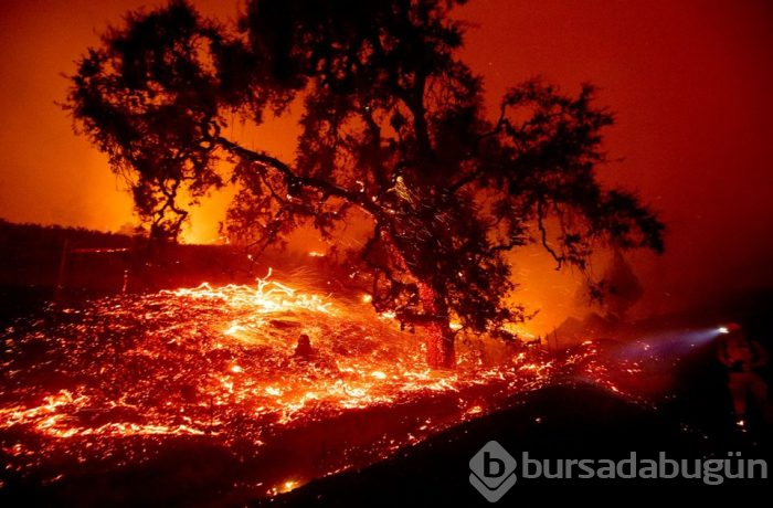 California'da yayılan yangınlar nedeniyle binlerce kişi tahliye edildi!