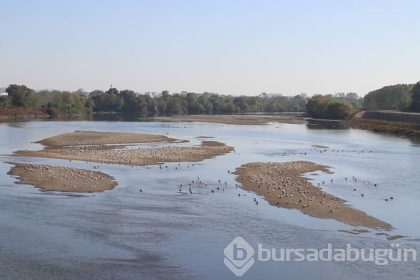 Meriç Nehri'nde kum adacıkları oluştu!