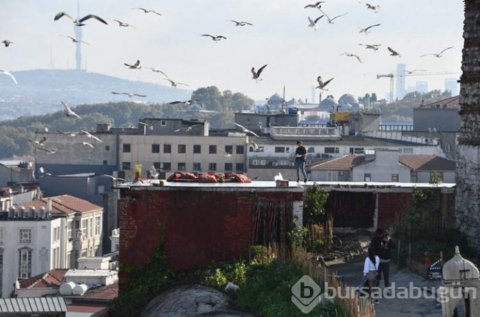 Valide Han'da fotoğraf çekenlerden para alıyor!