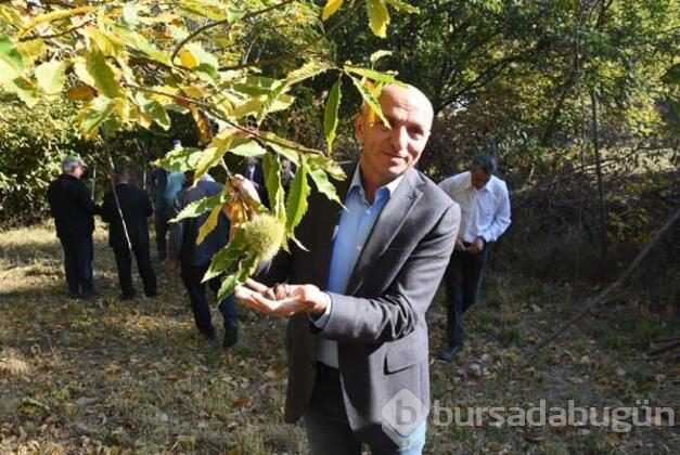 Tam 810 yıllık!