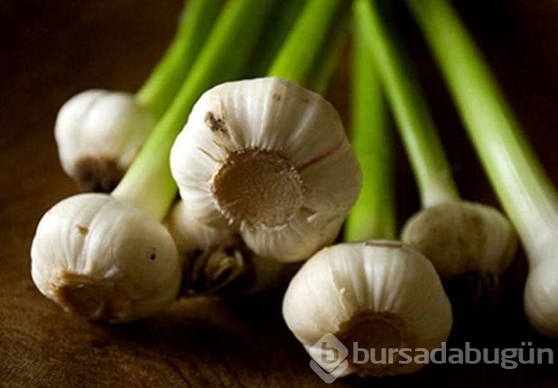 Doğal antibiyotik etkisi olan yiyecekler