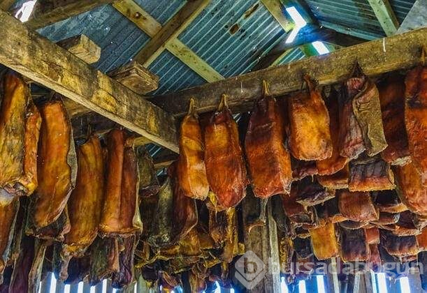 Dünyanın en tehlikeli besinleri