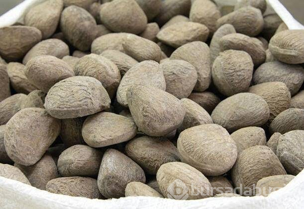 Dünyanın en tehlikeli besinleri