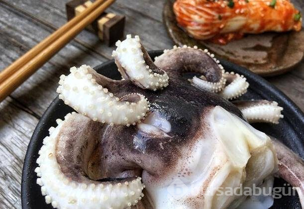 Dünyanın en tehlikeli besinleri
