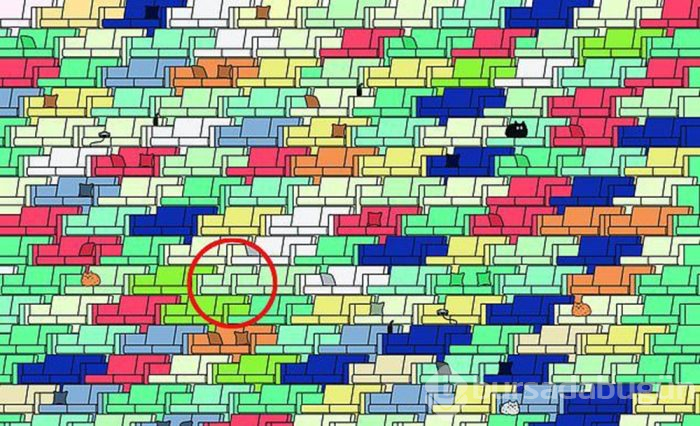 Dikkat testi: Fotoğraftaki farkları bulun