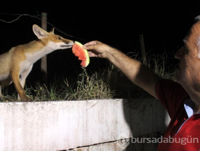 Bursalı fotoğrafçının filmlere konu olacak dostluk hikayesi!