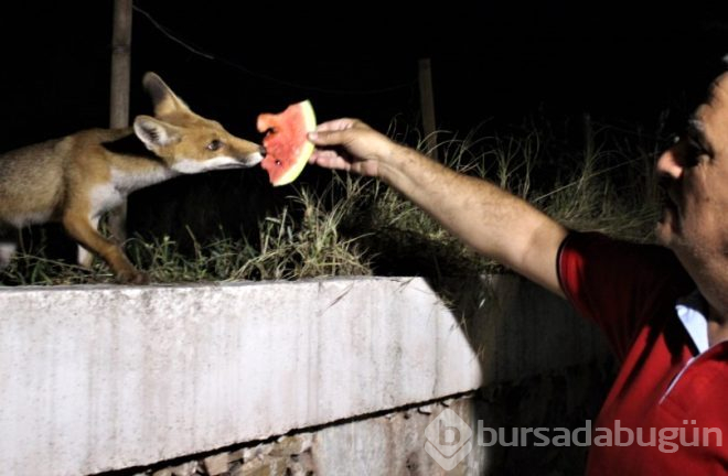 Bursalı fotoğrafçının filmlere konu olacak dostluk hikayesi!
