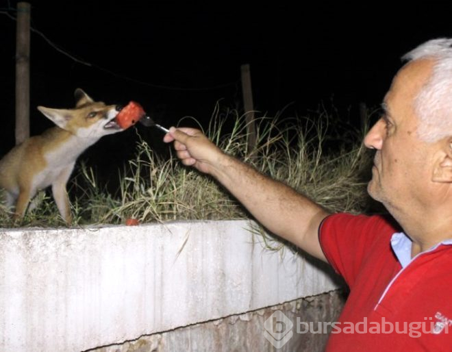Bursalı fotoğrafçının filmlere konu olacak dostluk hikayesi!