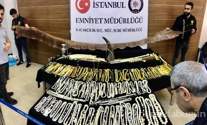 Polisler şoke oldu!